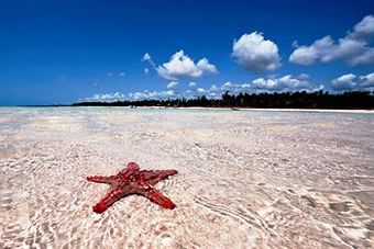 Hotel Neptune Paradise Beach Resort & Spa All Inclusive