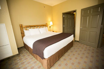 Hotel Great Wolf Lodge New England