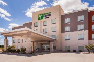 Hotel Holiday Inn Express & Suites Litchfield West