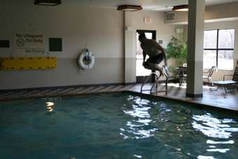 Hotel Hampton Inn Marshall