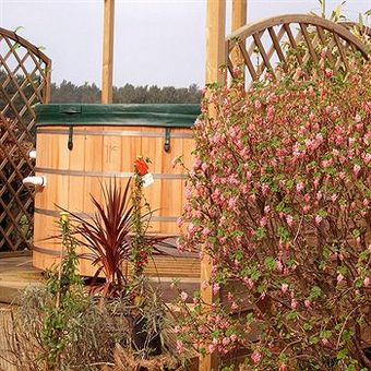 Bed & Breakfast Redlands Country Lodge Guest House