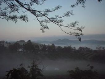 Amamoor Homestead B&B And Country Cottages