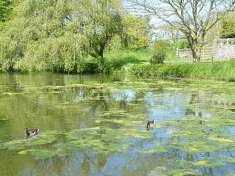 Hotel La Ferme Des Mares, The Originals Relais