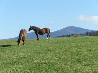 Ubytov�n� U Pradku