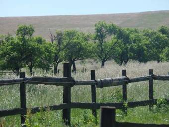 Guest House Roubenka