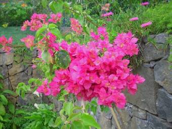 Villa Holiday Home El Mar