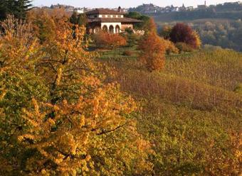 Villa San Domenico A Barbaresco