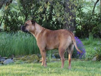 Hostal Lane Head Farm Country Guest House