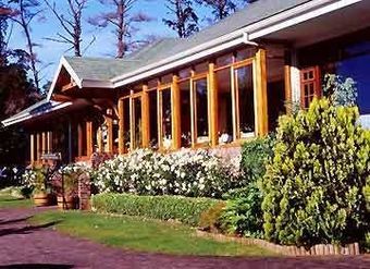 Hotel Knysna Hollow