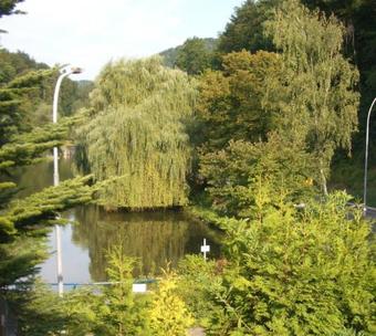 Hotel-pension Seeblick