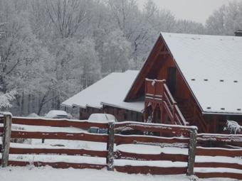 Apartamento Ran? Orel
