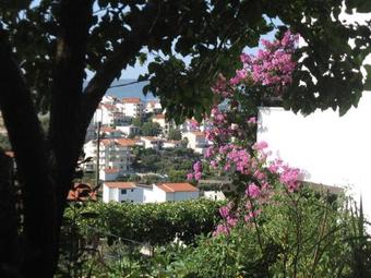 Hostal Apartment Seget Vranjica 11273a