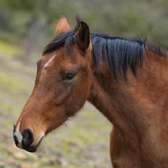 Agroturismo Tambor Del Llano