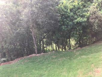 Lodge Chale Mata Nativa