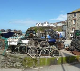 The White Cottage B&B