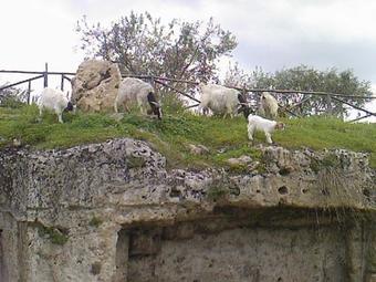Agroturismo Le Cinque Pietre