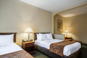 Hotel Comfort Suites