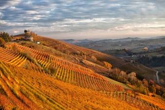 Apartamento Il Vecchio Cortile