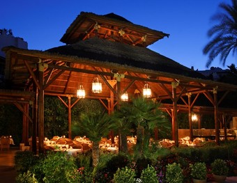 Hotel Meli� Marbella Ban�s