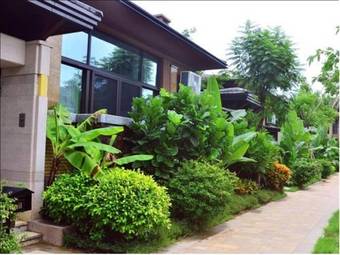 Rainbow Apartment And Villa