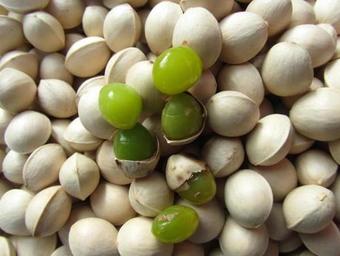 Agroturismo Yinxin Jianhua Farm Stay