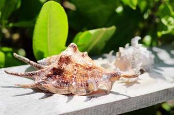 Lodge Garden Bungalows