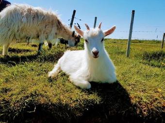 Hostal Sk�latj�rn Guesthouse