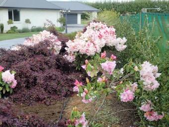 Bed & Breakfast Matangi Oaks Boutique B & B