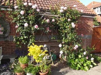 Bed & Breakfast March Cottage