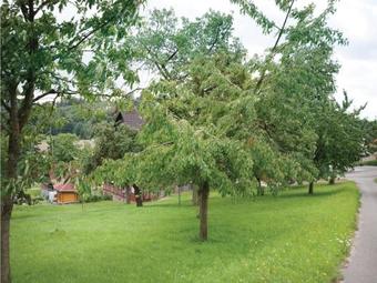 Holiday Apartment L�gde 05