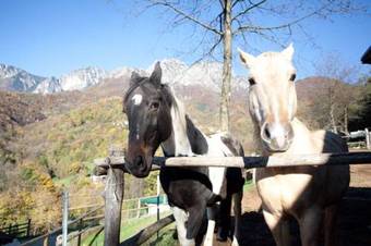 Bed & Breakfast L'angolo Di Paradiso