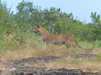 Bed & Breakfast Private Organic House