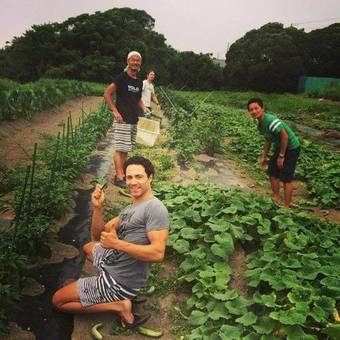 Hostal Seaside Guest House Plumeria