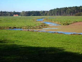 Bed & Breakfast Thuis Op Texel
