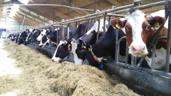 Bed & Breakfast Erve Praestinck