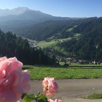 Apartamento Ciasa R�