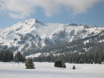 Apartamento Sun Meadows 3-103