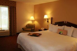 Hotel Hampton Inn Conyers