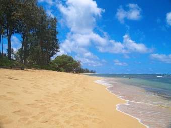 Apartamento Islander On The Beach 259