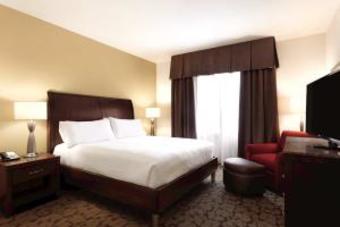 Hotel Hilton Garden Inn Rochester Downtown