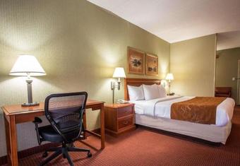 Hotel Comfort Suites Northlake