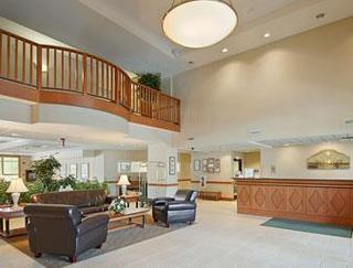 Hotel Wingate By Wyndham Rock Hill / Charlotte / Metro Area