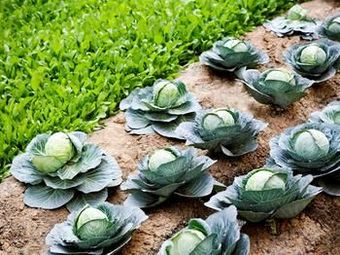 Hotel Pullman New Delhi Aerocity