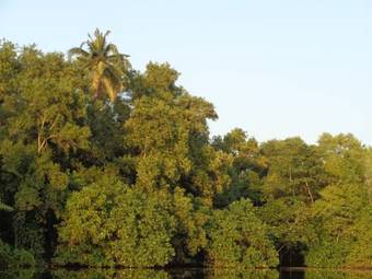 Bed & Breakfast Angels' Homestay Marari