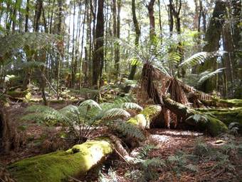 Gloucester On Avon Bed And Breakfast