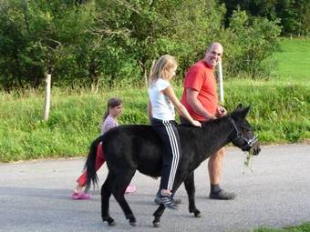 Apartamento Ferienstadl - Hammerau