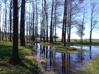 Hostal Wellness Penzion Pod Rozhlednou