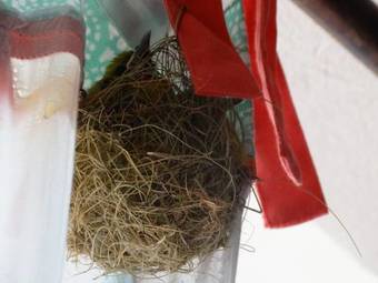 Bed & Breakfast Agua Y Fuego