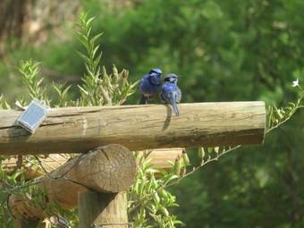 Agroturismo Lewana Cottages