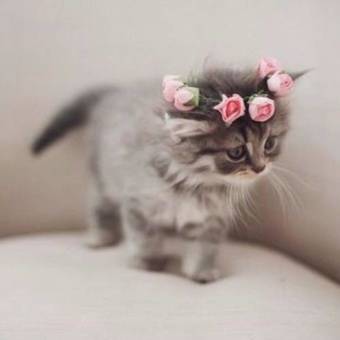 Hostal Guest House Duruji